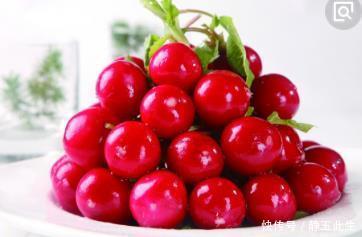 农民种这样的迷你萝卜,外形像樱桃,一个月就