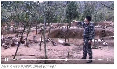  【卖光】速度！汤塘四九滞销的砂糖桔已全部卖光了！