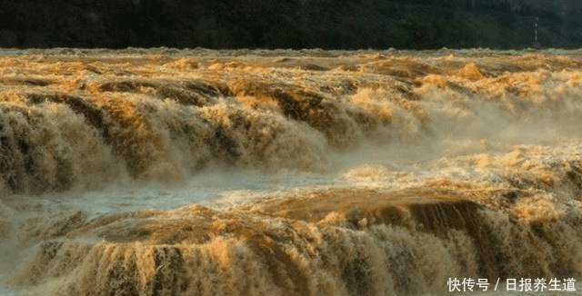 为什么黄河泥沙那么多，鱼还又大又肥网友一句话阐明道理