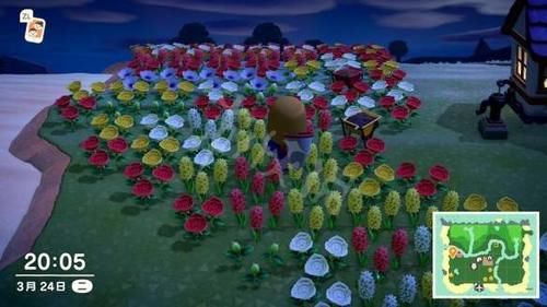 #时间#《集合啦动物森友会》种花流怎么玩 种花流玩法介绍