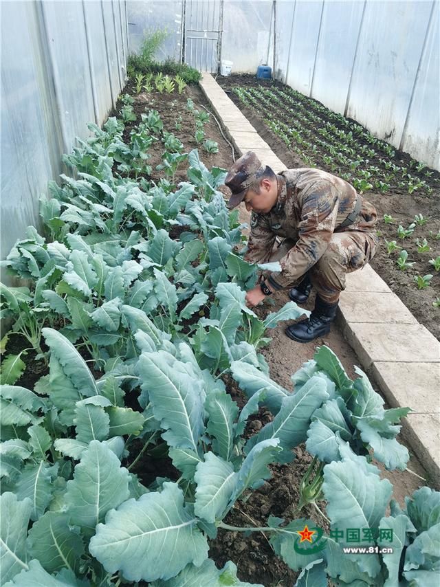  温暖■走进西藏军区边防一线：雪域哨所温暖如家