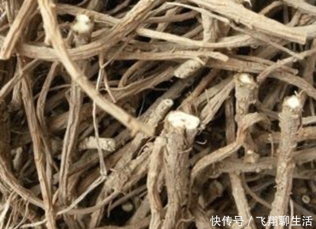  变高■不起眼的“1种野草”，人称“柴胡”，采挖后晾干，价值变高！