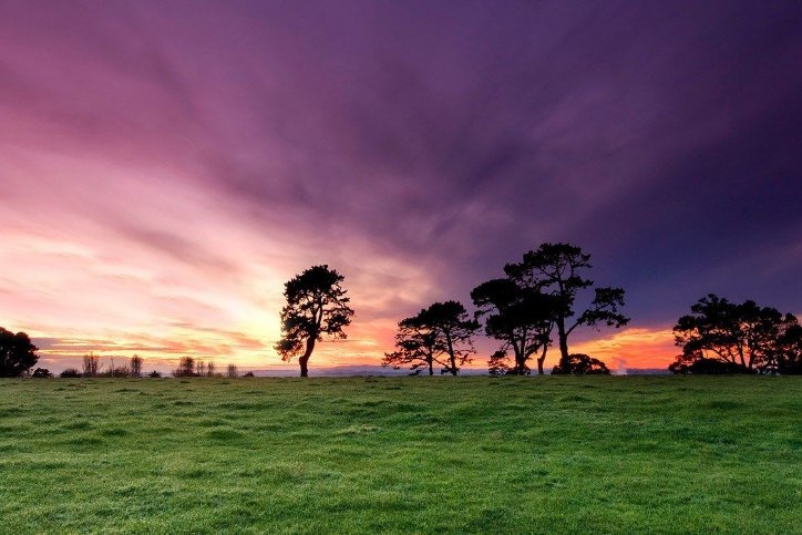  [树木]3个原因告诉你，为啥草原上树木稀疏，草却长得茂盛！