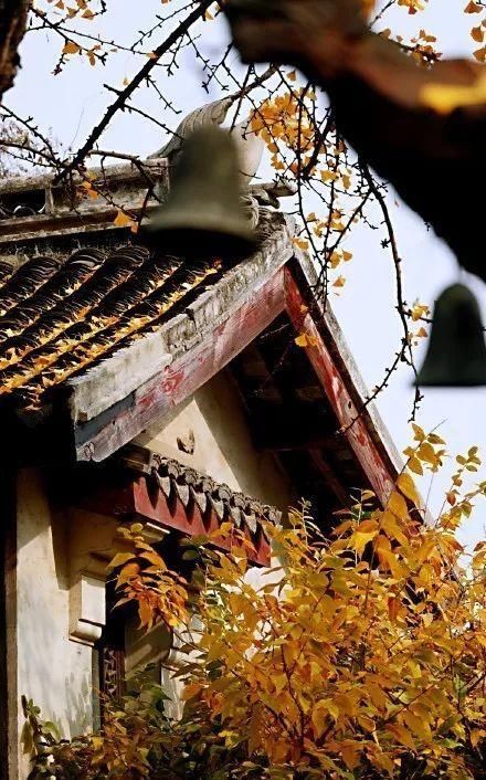 康熙乾隆两位皇帝分别六下江南，每次都必来这个古镇