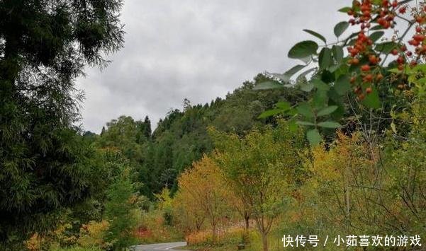 2019年想创业的农民注意，这3大项目看似冷门，其实收入惊人