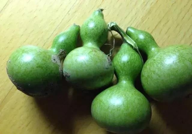 大爷花10年“种椅子”，一把卖80000！这些文玩在家也能种