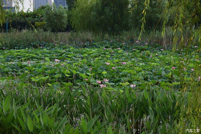 奥迪A6L，宝马X3，奔驰GLB，凯迪拉克CT5，不一样的新感受之九