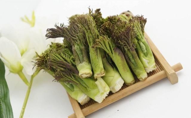 农村这种野菜，城里卖到40块1斤，被誉为“天下第一山珍”