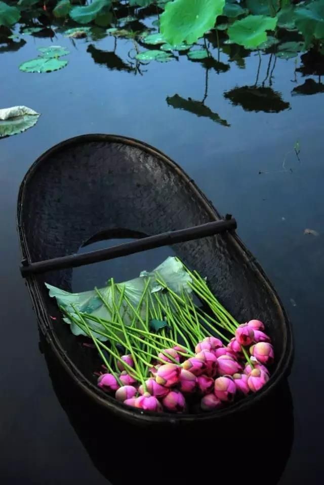  #盘点#盘点一组照片，来欣赏下美丽的越南风景吧！