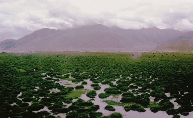  [土地]人口最少的省份：大部分面积无人可居，走十几公里都未能