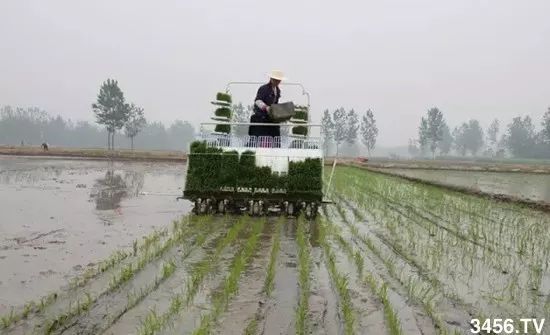 对不起，我要回去当农民了！重磅信号，中国即将实行三权分置！