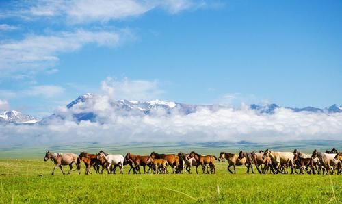 自驾游中必带的4样东西，我都是记在备忘录里，走之前再看一遍