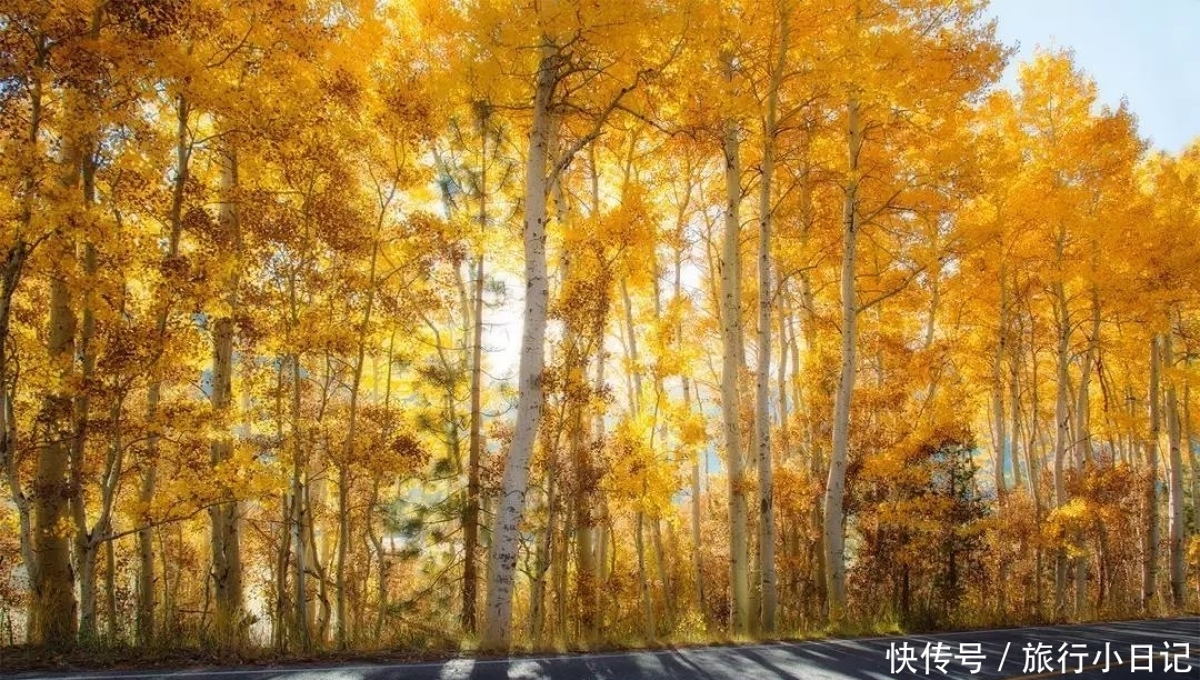 10月赏景胜地，错过一季再等一年