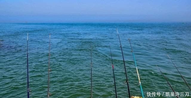  「海钓产业」海钓在中国并不火?那是你不知道沿海居民有多么爱海钓!