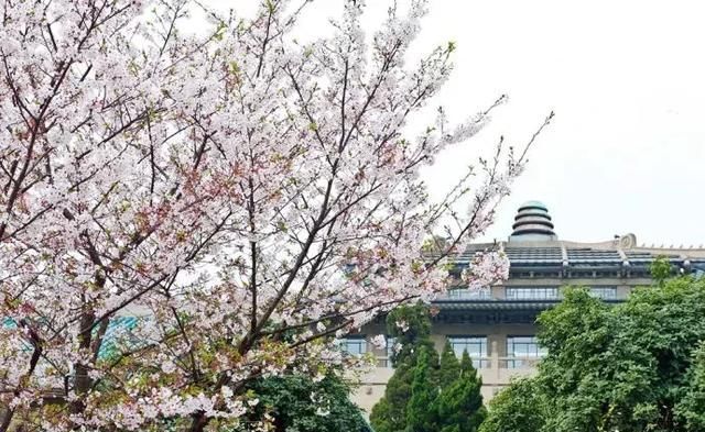 3月最佳旅行地榜单:十大绝美仙境，春暖花开美到窒息!