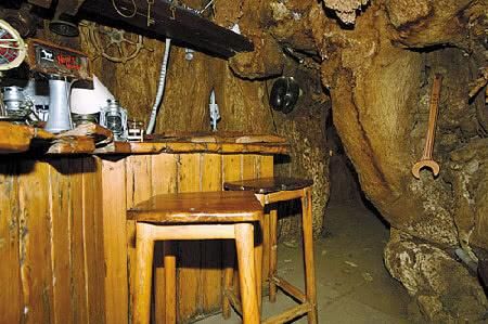 一棵活了六千年的树，里面有一个酒吧，吸引大量游客参观