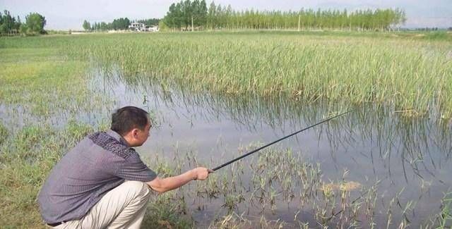  「钓法」传统钓法长竿短线钓的三大优势应该如何应用