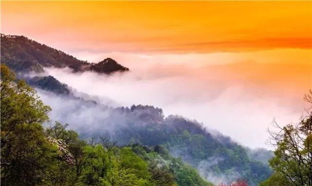 中国竟有两个天堂寨景区！特色好玩景点大对比，你可别去错了