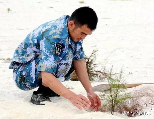 中建岛：曾经一座荒岛，如今绿树成荫，未来应怎样扩建