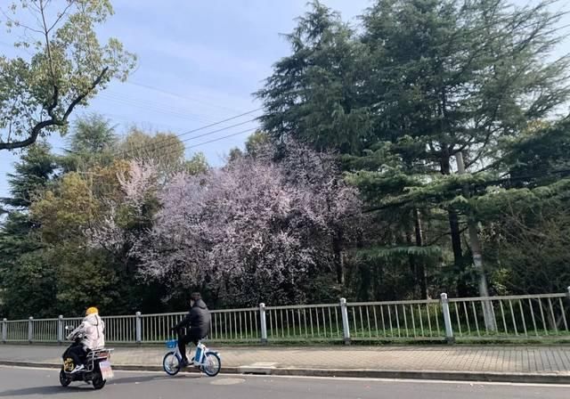  【女生】女生这辈子都不想透露的浴室小心机，今天冒死告诉你！