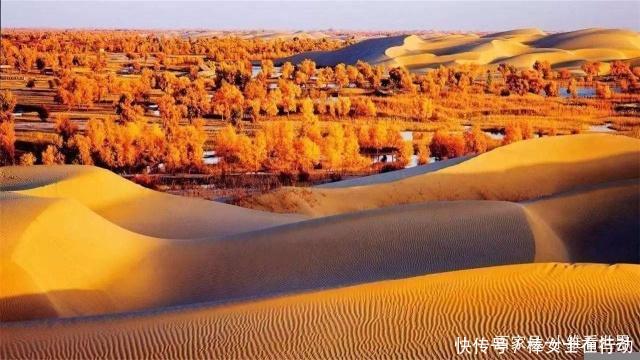 中国速度向沙漠收复失地，一年收回一个深圳的面积