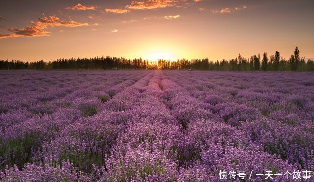 你只知道旅行，但你知道什么时间去什么地方旅行最好吗