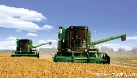 14亿人口农民才2亿，怎样才能让农民再次回农村种地？