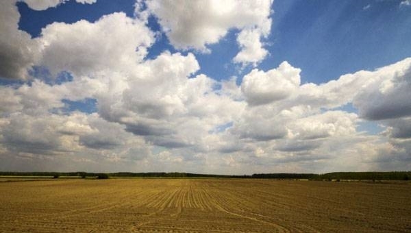  【农民】民以食为天，粮食为什么一直没涨价？