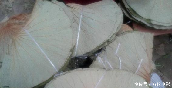 医生不会和你说,它是头号“刮油王”,饭前喝一杯,脂肪不见了