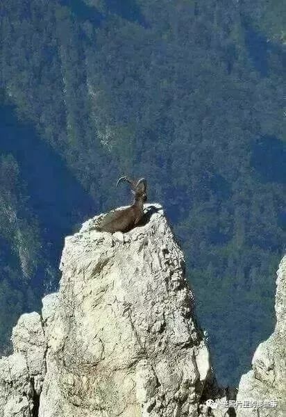 你肯定没见过的奇景照片！太震撼太壮观了！值得收藏