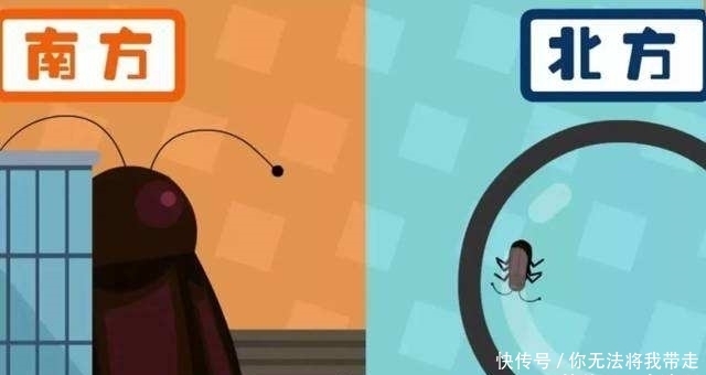  「北方人」南北方的生活差异到底有多大？北方网友：他们吃面条