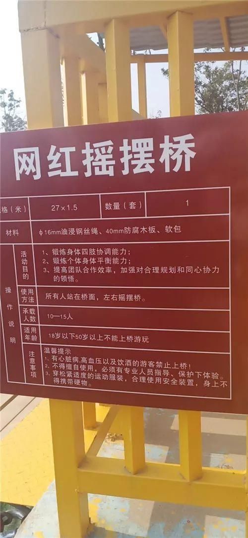 男子玩网红“摇摆桥”死亡