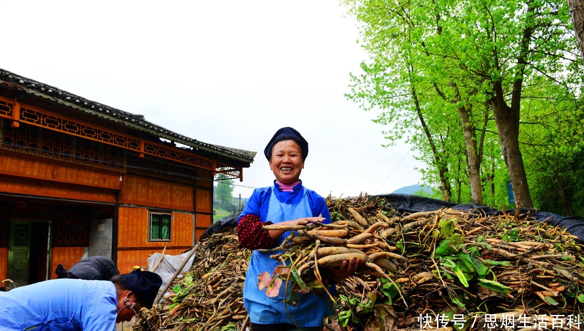  实则@农村“空手套白狼”频发，2个项目看似获利，实则害苦了不