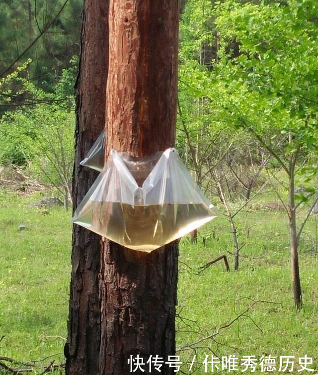 以前夏天，农民都会去赚这个钱，不偷不抢，干活有劲，数钱更乐