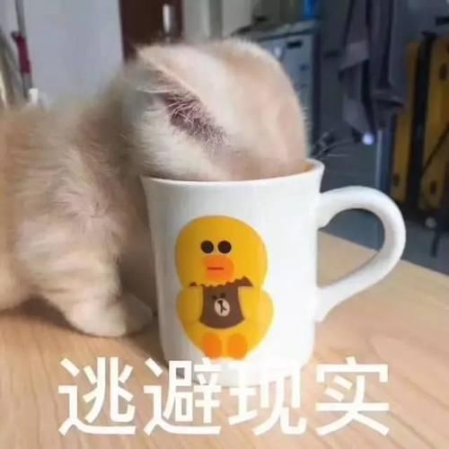  [集美]美白光靠口罩捂？哪能这么不靠谱！