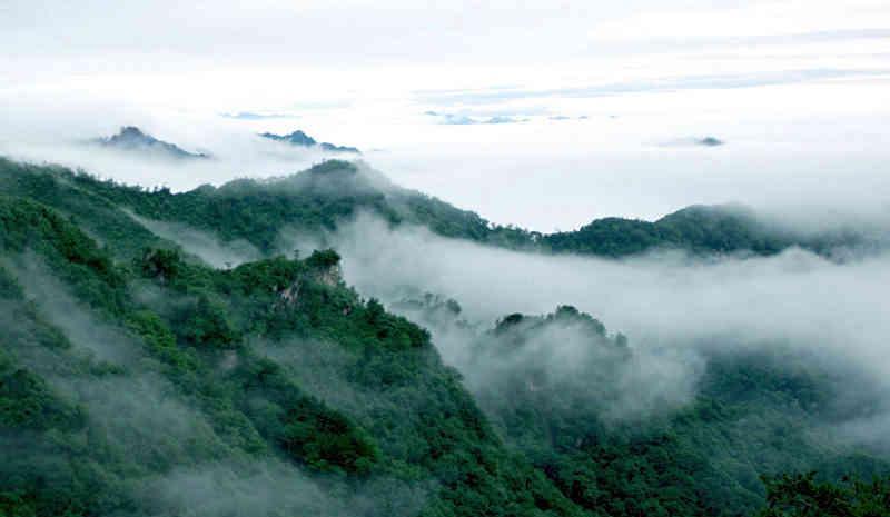 河南的这五大名山谁能当第一名山？一起来看看吧！