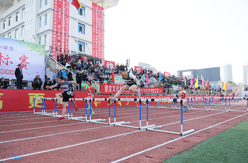 蓬安圆满承办2018年南充市中小学生田径锦标