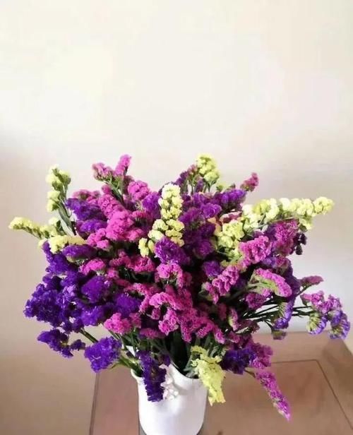  幸福树■这5种花的名字有点特别，开花更好看，家里养一盆，美得不像话