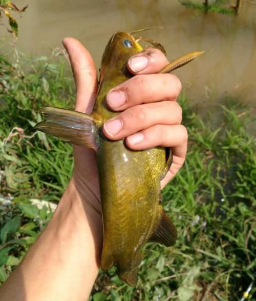  「坚守」打窝后没口，该换钓位还是坚守？情况不同，对应的策略也有所不同