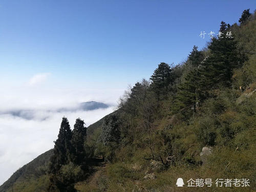登上海拔1300米的南岳衡山，终于见到了2019年第一缕阳光