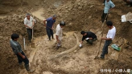 今年开始, 4类农民建房将被拆除了, 以免吃亏, 农民心里要知道