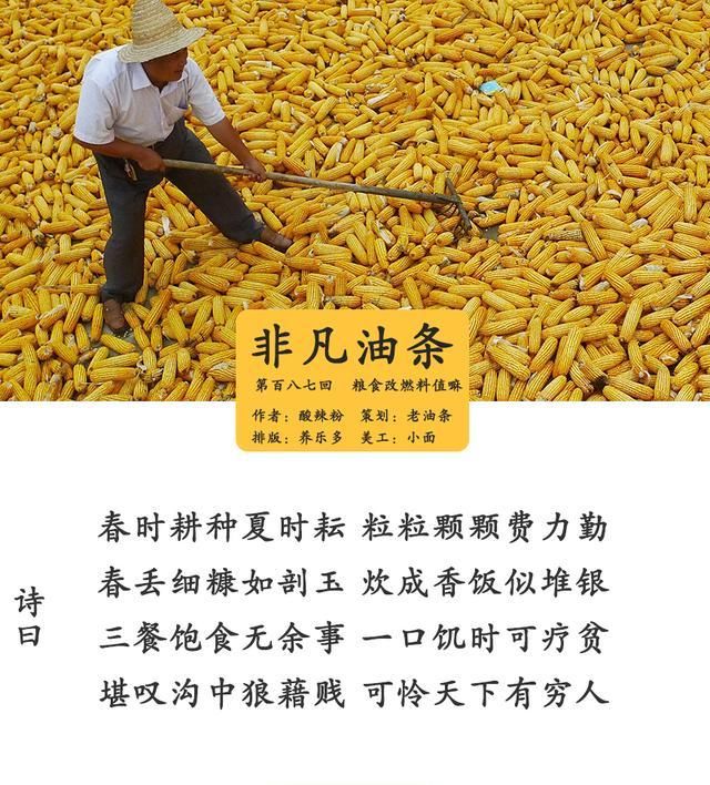  #玉米#若不是烧了两年乙醇汽油，我都不知道中国玉米曾有这么牛