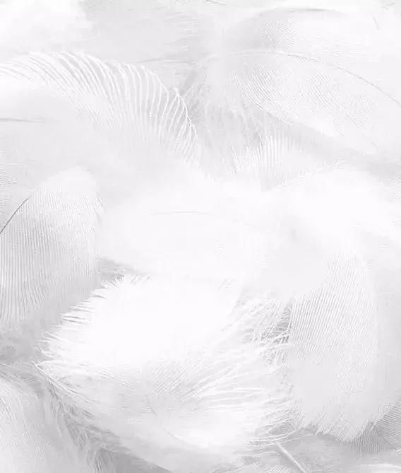 一件真正让你穿上就不愿脱下来的零感内衣