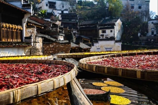 秋天的模样，篁岭都有了!不如趁着人少的初秋去看晒秋节