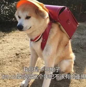 「黑眼圈」为什么花了2W护肤,黑眼圈、眼纹还是藏不住?