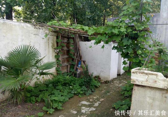  我家：休假回农村来了，晒晒我家的农村小院，还是农村好！