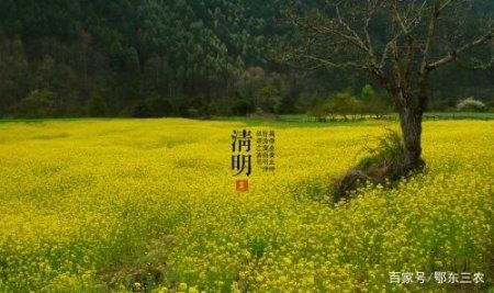  『适合春季播』二月清明不在前，三月清明不在后，今年春耕生产该提前还是退后？