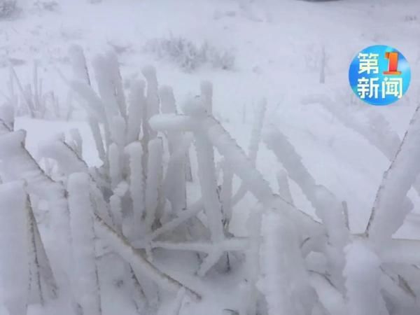  「下雪」现在！陕西下雪了！冬夏交织，最低只有零下6度...