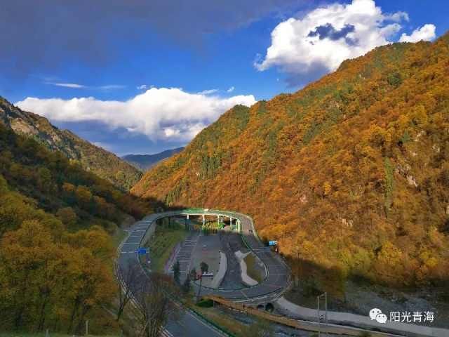 有此秋景，何必远方！