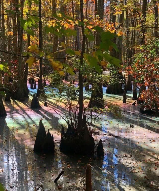 神奇的光线,让这些照片看起来十分“不可思议”